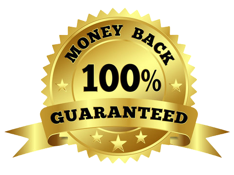 Smart Outsource Guarantee